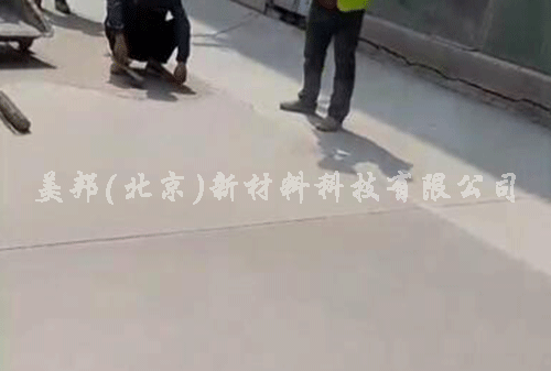 姑嫂樹灰色石藝地坪