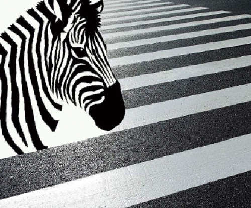 彩色斑馬線涂料