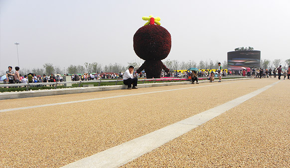 青島世界園藝博覽會(huì)透水路面工程，美邦用事實(shí)證明：沒有最好，只有更好